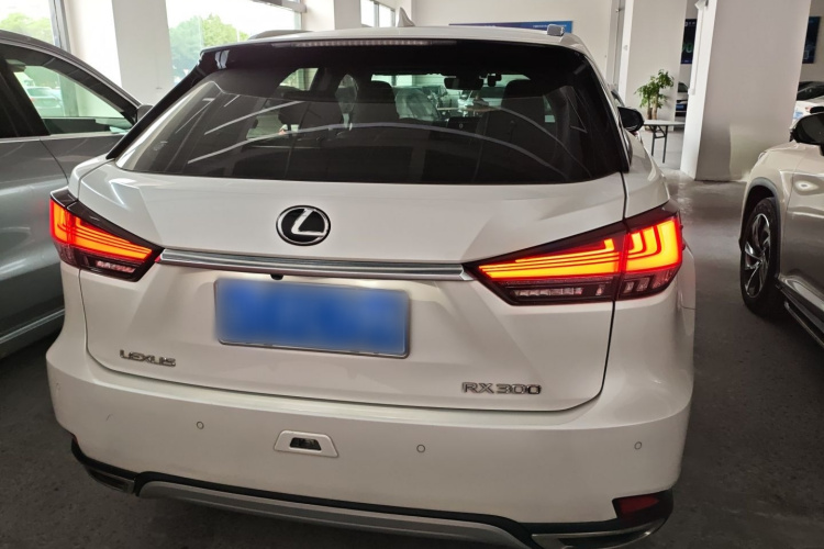 雷克萨斯RX 2020款 改款 300 两驱舒适版车身外观6