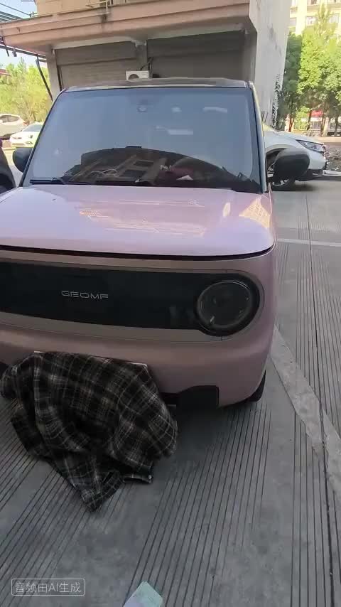 吉利银河 2023款 熊猫mini 200km 耐力熊检测视频1