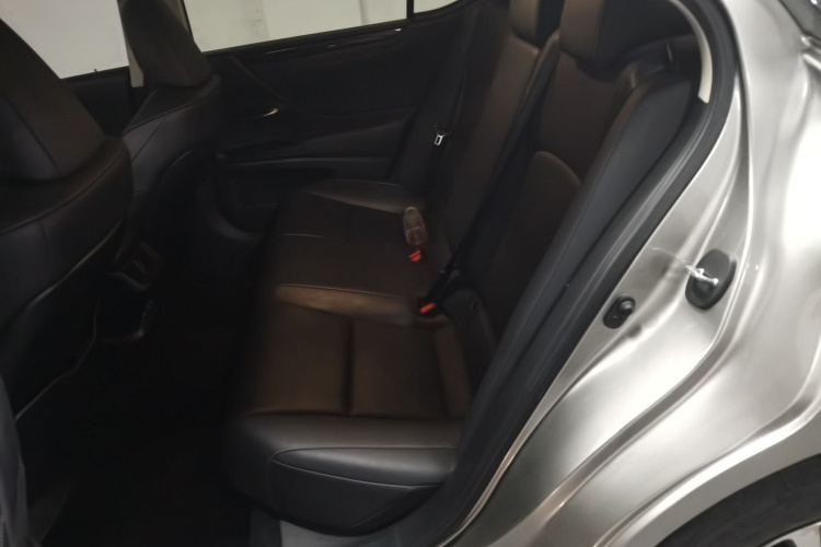 雷克萨斯ES 2020款 200 卓越版中控内饰7004