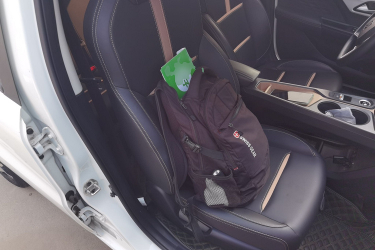 思皓 2022款 花仙子款 四叶草局部细节41