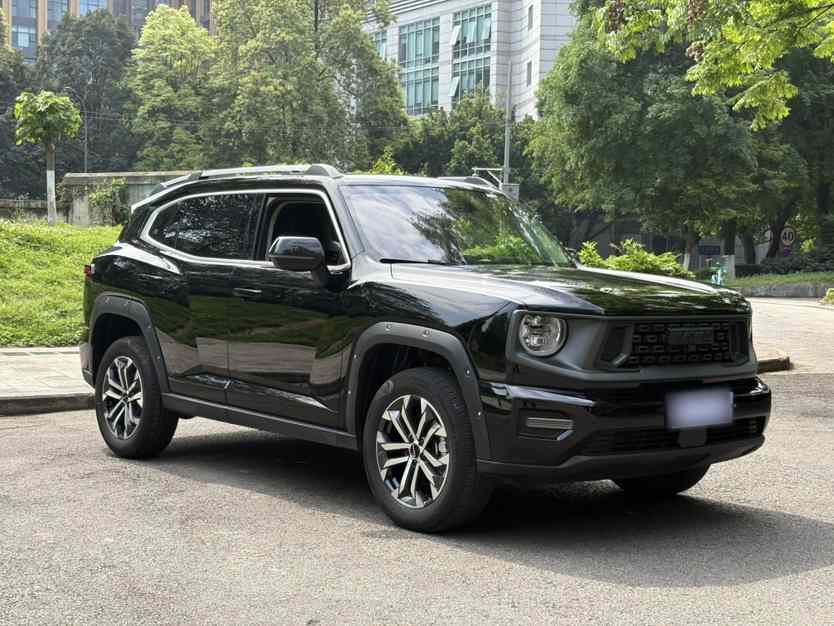 哈弗大狗 PLUS 2023款 2.0T 两驱潮野版Plus(2)
