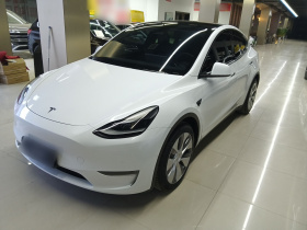 特斯拉 Model Y 2021款 标准续航后驱版