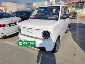 吉利银河 2024款 熊猫mini 200km 耐力熊