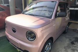 吉利汽车 2023款 熊猫mini 200km 耐力熊