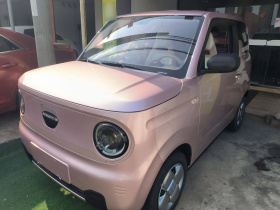 吉利汽车 2023款 熊猫mini 200km 耐力熊