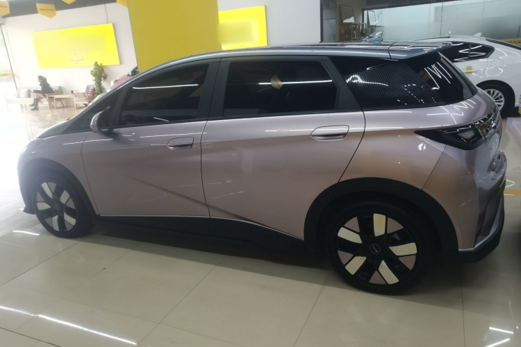 比亚迪 海豚 2021款 401km 骑士版车身外观6003