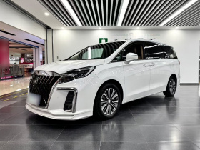 别克GL8 2025款 陆尊 智享版