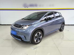 比亚迪 海豚 2024款 荣耀版 420km 时尚版