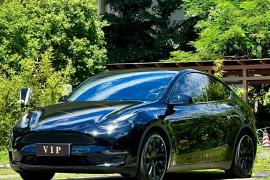 特斯拉 Model Y 2021款 标准续航后驱版