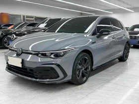 大众 高尔夫 2021款 280TSI DSG R-Line