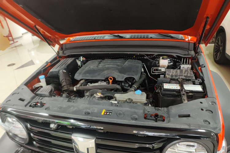 坦克300 2021款 越野版 2.0T 挑战者机舱底盘24