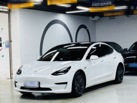 特斯拉 Model 3 2020款 改款 标准续航后驱升级版