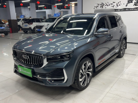 吉利汽车 星越L 2024款 2.0TD 高功自动两驱天际版