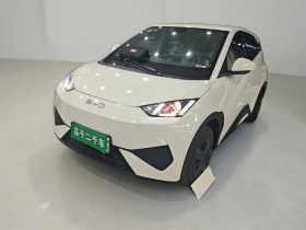 比亚迪 海鸥 2025款 智驾版 305km 活力版