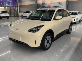 吉利银河 星愿 2025款 310km 青春版