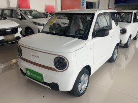 吉利银河 2024款 熊猫mini 200km 耐力熊