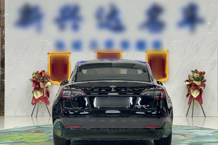 特斯拉 Model 3 2020款 长续航后轮驱动版车身外观6005