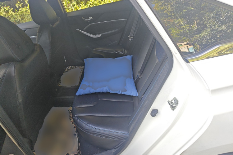 启辰D60EV 2020款 标准续航智行版中控内饰7004