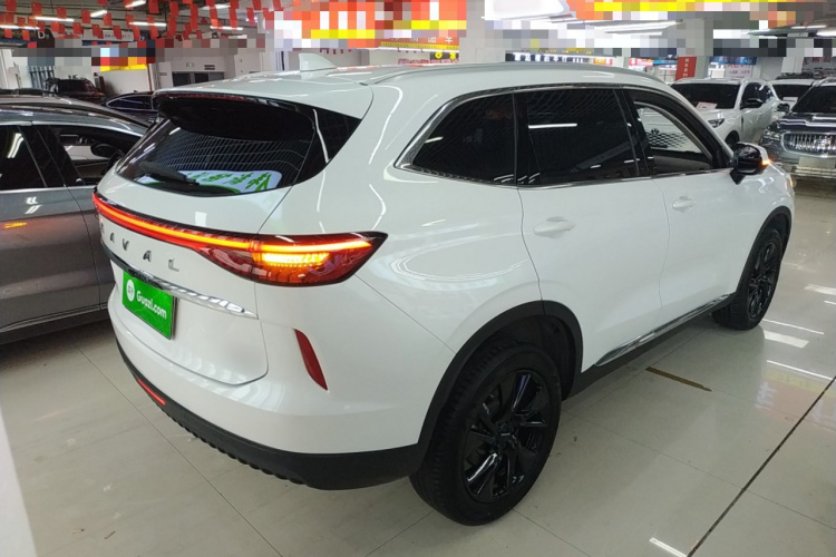 哈弗H6 2021款 第三代 2.0T 自动两驱Max车身外观6005