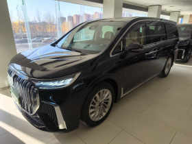 岚图汽车 岚图梦想家 2022款 低碳版 想+智驾包