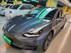 特斯拉 Model 3 2020款 标准续航后驱升级版