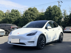 特斯拉 Model Y 2022款 Performance高性能全轮驱动版
