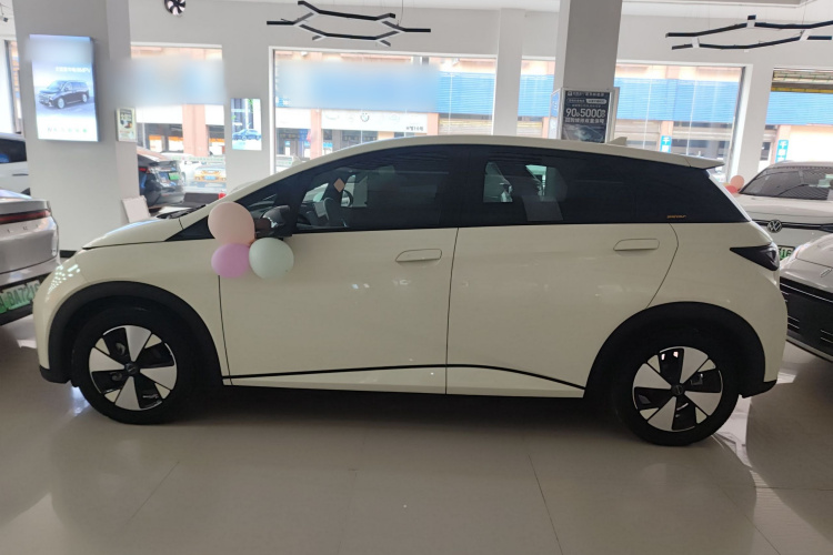 比亚迪 海豚 2023款 420km 时尚版车身外观4