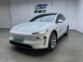 特斯拉 Model Y L 2025款 长续航全轮驱动版
