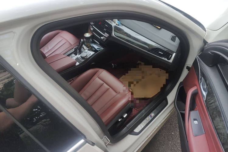 宝马5系 2020款 530Li 领先型 M运动套装局部细节9005