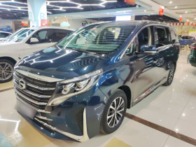 广汽传祺 传祺M8 2023款 领秀系列 390T 尊享版