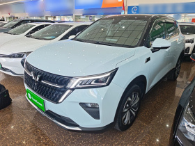 五菱汽车 五菱星辰 2022款 2.0L DHT电速款