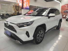 丰田 RAV4荣放 2024款 2.0L CVT两驱风尚Plus版