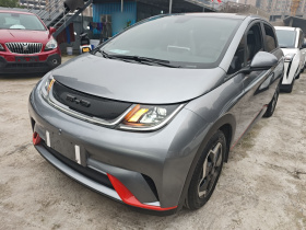 比亚迪 海豚 2021款 405km 时尚版