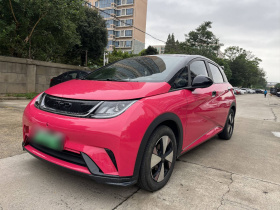 比亚迪 海豚 2023款 420km 时尚版