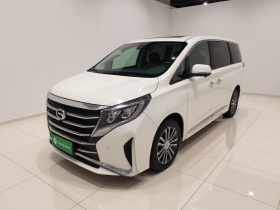 广汽传祺 传祺M8 2023款 领秀系列 390T 尊贵版