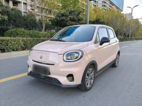 零跑汽车 零跑T03 2021款 400轻享版 磷酸铁锂