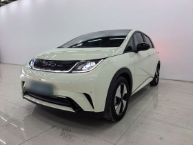 比亚迪 海豚 2023款 420km 时尚版