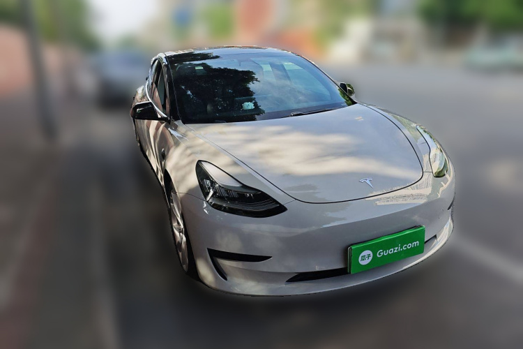特斯拉 Model 3 2019款 标准续航后驱升级版车身外观6002