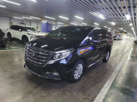 广汽传祺 传祺M8 2018款 320T 尊享版