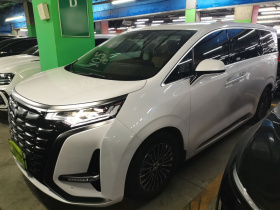 腾势D9 2024款 DM-i 1050 尊享型