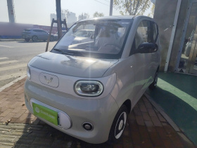 五菱汽车 宏光MINIEV 2024款 第三代 215km 青春版