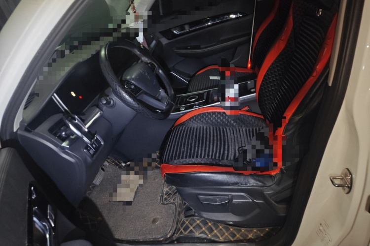 大乘汽车 大乘G60S 2019款 1.5T 自动豪华型 国VI中控内饰19