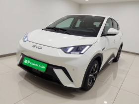 比亚迪 海鸥 2023款 飞翔版