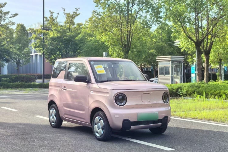 吉利银河 2024款 熊猫mini 200km 耐力熊车身外观6003