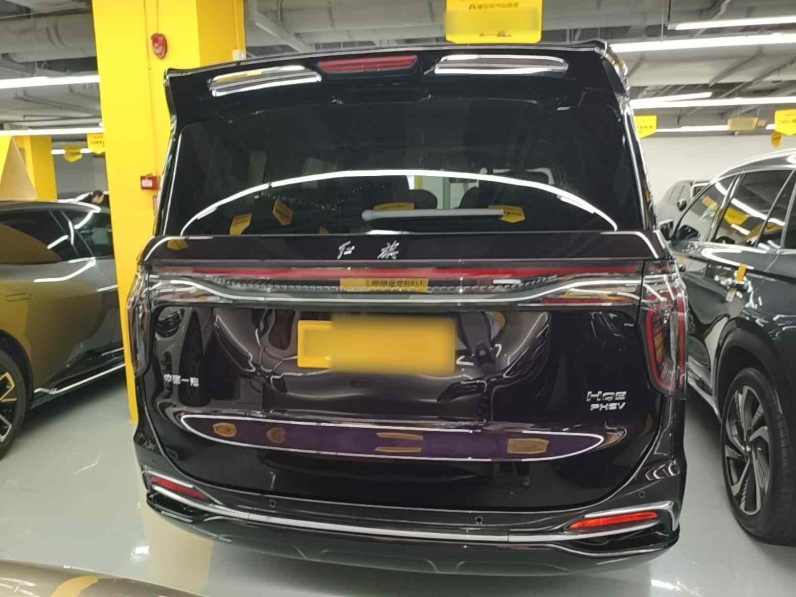 红旗HQ9 PHEV 2024款 2.0T 四驱豪华版(4)