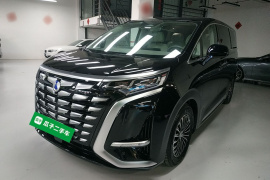 腾势D9 2023款 DM-i 965 尊享型