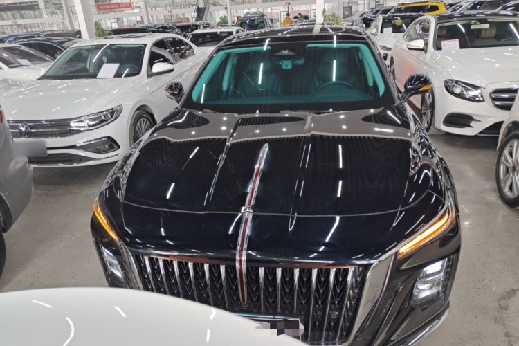 红旗H5 2023款 2.0T 自动智联旗畅版车身外观6001