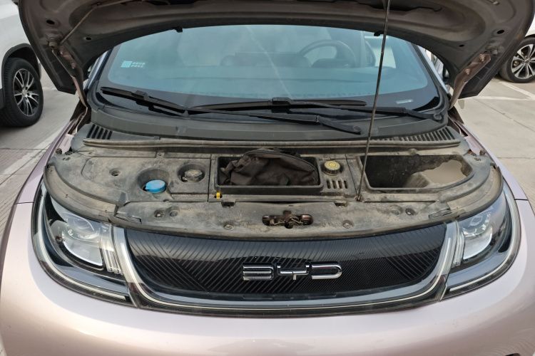 比亚迪 海豚 2021款 401km 骑士版局部细节24