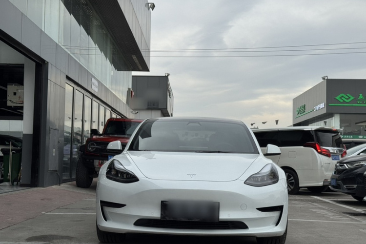特斯拉 Model 3 2021款 标准续航后驱升级版 3D6车身外观6004