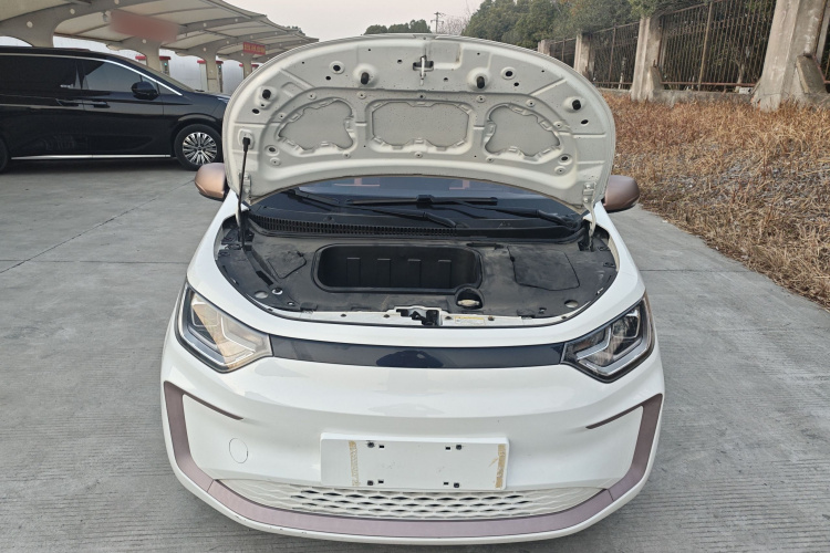 思皓 2022款 花仙子款 满天星局部细节24